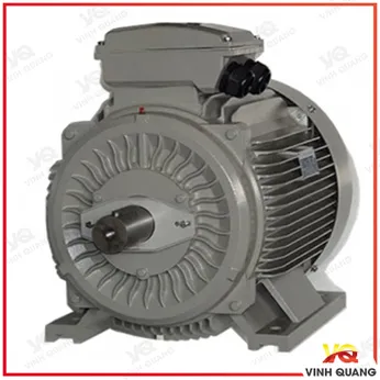 Motor điện toshiba chân đế 0.55kw