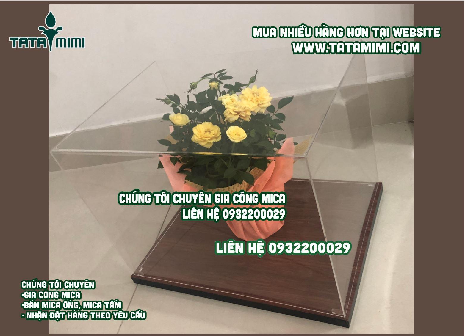 Hộp chụp sản phẩm mặt mica đế gỗ mấy mm