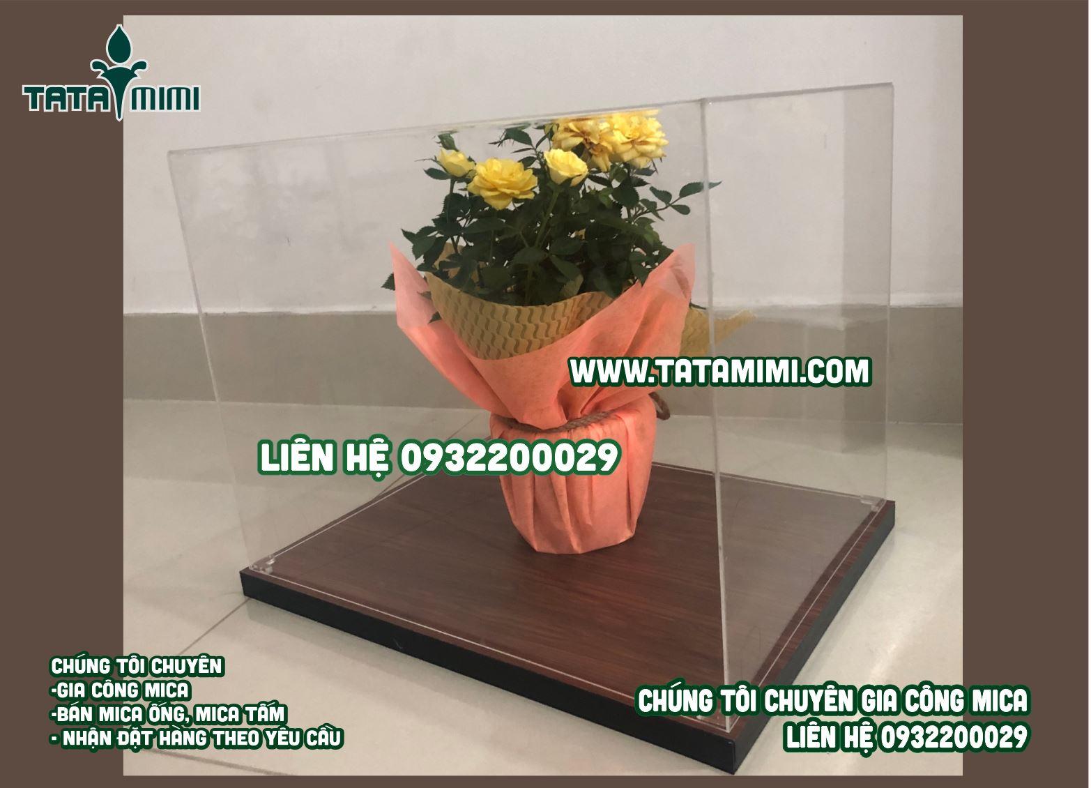 Hộp chụp sản phẩm mặt mica đế gỗ mấy mm