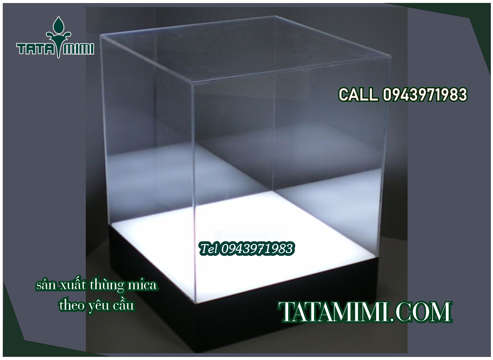 Hộp chụp thân mica trong với đế các màu khác nhau