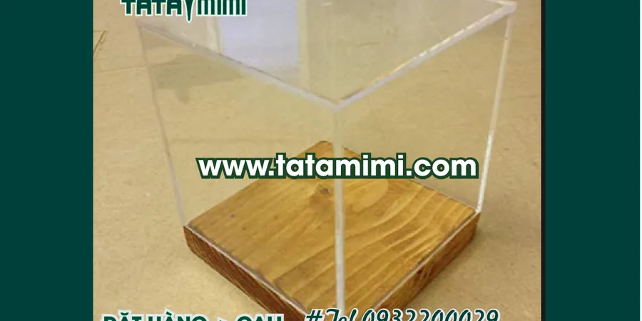 Hộp chụp mica trong