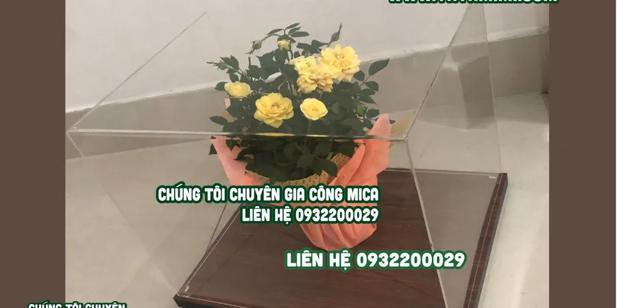 Hộp chụp mica bảo vệ sản phẩm