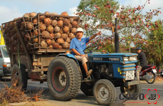 Nguồn nguyên liệu khác nhau sẽ dẫn tới giá than hoạt tính khác nhau chút xíu Nguồn nguyên liệu khác nhau sẽ dẫn tới giá than hoạt tính khác nhau chút xíu