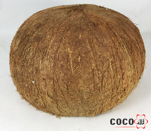 Nguyên liệu chính cần dùng là gáo dừa để tự làm than hoạt tính làm đẹp Nguyên liệu chính cần dùng là gáo dừa để tự làm than hoạt tính làm đẹp