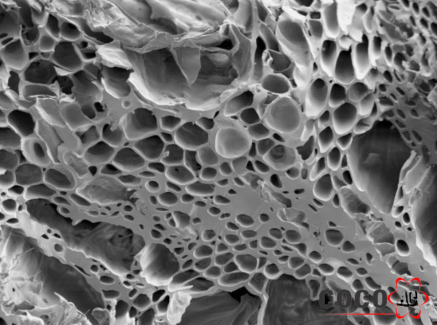 Cấu trúc rỗng, chứa các lỗ li ti hút bụi bẩn của than hoạt tính Cấu trúc rỗng, chứa các lỗ li ti hút bụi bẩn của than hoạt tính