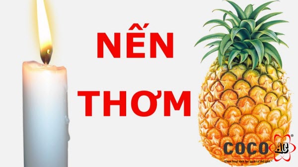 cách khử mùi thuốc lá trong phòng cách khử mùi thuốc lá trong phòng