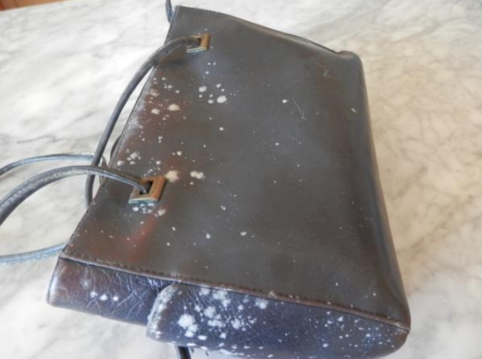 Ẩm mốc làm hư hại đồ da Ẩm mốc làm hư hại đồ da