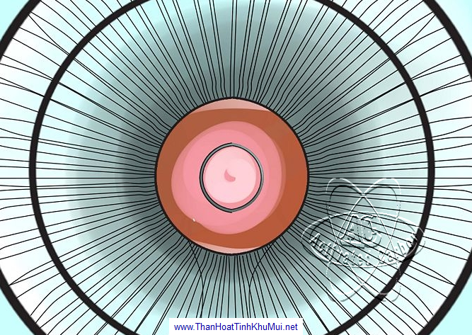 Mẹo khử mùi thức ăn trong nhà bếp Mẹo khử mùi thức ăn trong nhà bếp