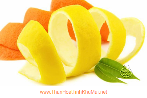 Dùng vỏ cam quýt khử mùi hôi túi xách Dùng vỏ cam quýt khử mùi hôi túi xách