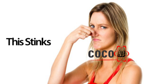 Vậy thì, đâu là phương pháp khử mùi sơn trong phòng bạn đang cần? Vậy thì, đâu là phương pháp khử mùi sơn trong phòng bạn đang cần?