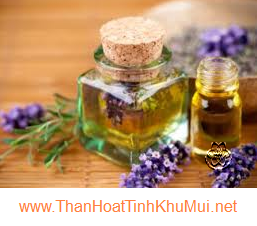 Phương pháp khử mùi bằng hương tin dầu Phương pháp khử mùi bằng hương tin dầu