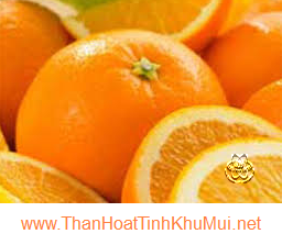 Sử dụng vỏ cam quýt khử mùi hôi tủ lạnh Sử dụng vỏ cam quýt khử mùi hôi tủ lạnh