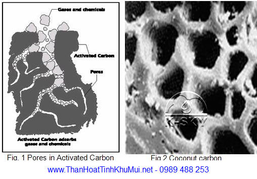 Tác dụng lọc sạch chất độc hại của than hoạt tính Tác dụng lọc sạch chất độc hại của than hoạt tính