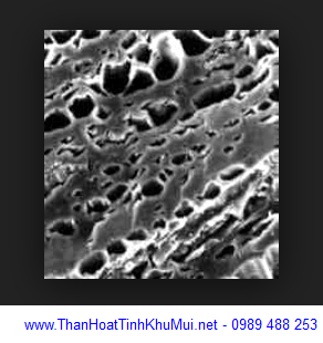 Cấu trúc mao mạch than hoạt tính chằng chịt như tổ ong Cấu trúc mao mạch than hoạt tính chằng chịt như tổ ong
