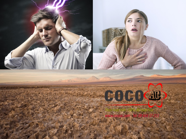 Than hoạt tính lót nền nhà Than hoạt tính lót nền nhà