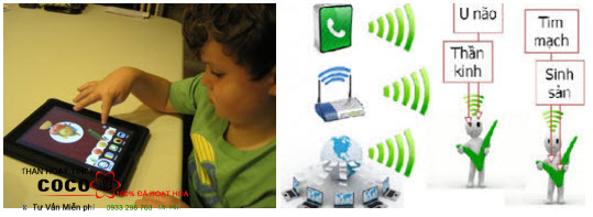 Tia bức xạ gây ảnh hưởng lớn đến cơ thể con ngườiTia bức xạ gây ảnh hưởng lớn đến cơ thể con người Tia bức xạ gây ảnh hưởng lớn đến cơ thể con người