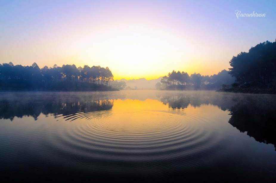 lợi ích việc học thư pháp lợi ích việc học thư pháp