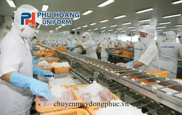 ÁO THỦY SẢN MÀU XANH (MAY SẴN) SW012