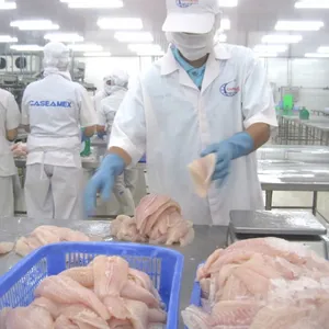 👕🐟 Đồng Phục Thủy Sản 2026: Tiêu Chuẩn Vệ Sinh (HACCP) & Giải Pháp May Đo Toàn Diện Từ Phú Hoàng Uniform 🛡️