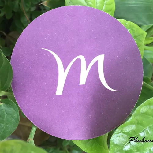 LÓT LY GIẤY PH001