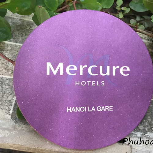 LÓT LY GIẤY PH001