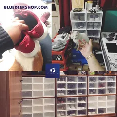 Đánh giá Khách Hàng về Hộp đựng giày dép nhựa cứng năm 2020 - BLUE DEER