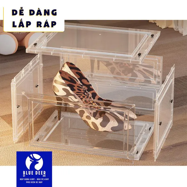 Hộp đựng giày Bìa và Nắp Cứng cao từ 14cm tới 19cm vừa size giày 43 tới size 47 - Bigsize Giày To Cao do BLUE DEER cung cấp