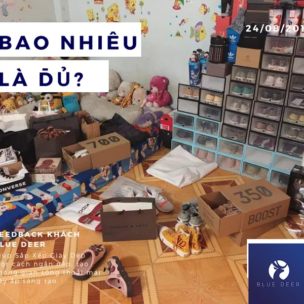 Hộp nhựa đựng giày dép Size Nữ nắp trong suốt 4 màu - Tặng Túi Hút Ẩm - Blue Deer