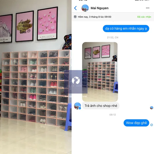 Hộp nhựa đựng giày dép Size Nữ nắp trong suốt 4 màu - Tặng Túi Hút Ẩm - Blue Deer