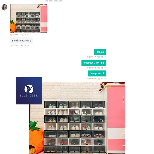 Hộp nhựa đựng giày dép Size Nữ nắp trong suốt 4 màu - Tặng Túi Hút Ẩm - Blue Deer