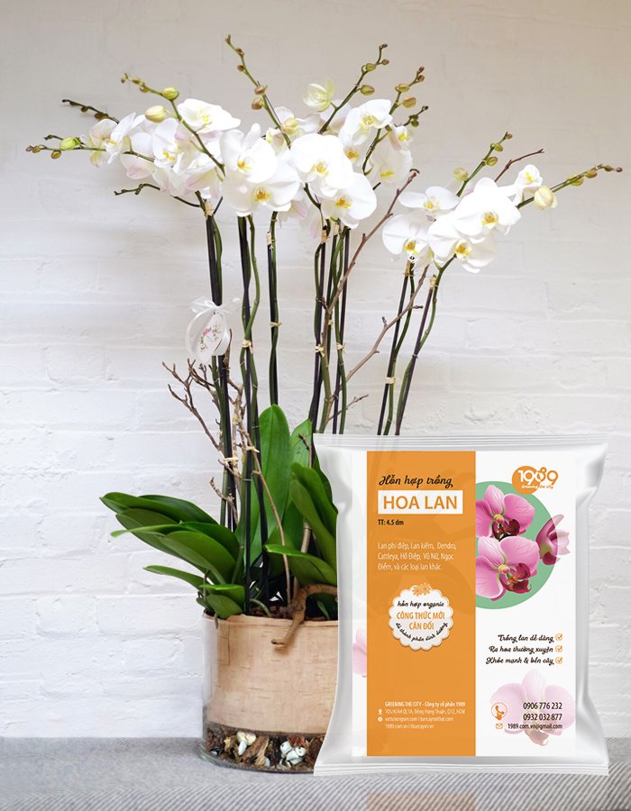 Tổng Hợp Các Loại Đất Và Phân Bón Phổ Biến Hiện Nay