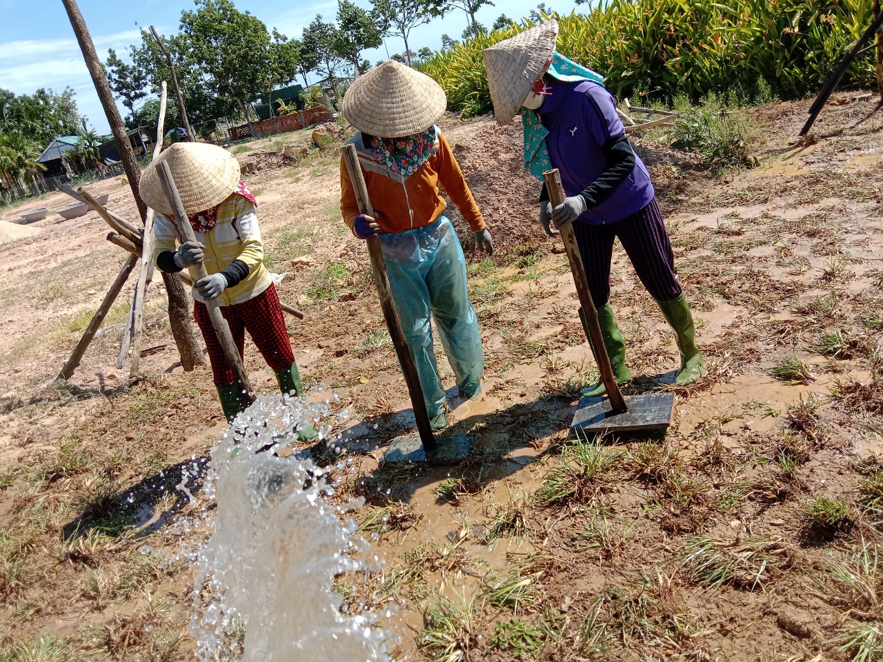 CÁCH SỬ LÍ ĐẤT NỀN TRƯỚC KHI TRỒNG THẢM CỎ
