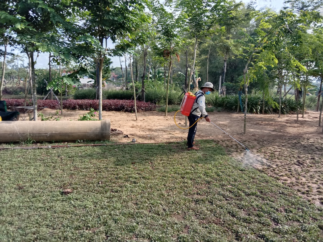 CÁCH SỬ LÍ ĐẤT NỀN TRƯỚC KHI TRỒNG THẢM CỎ