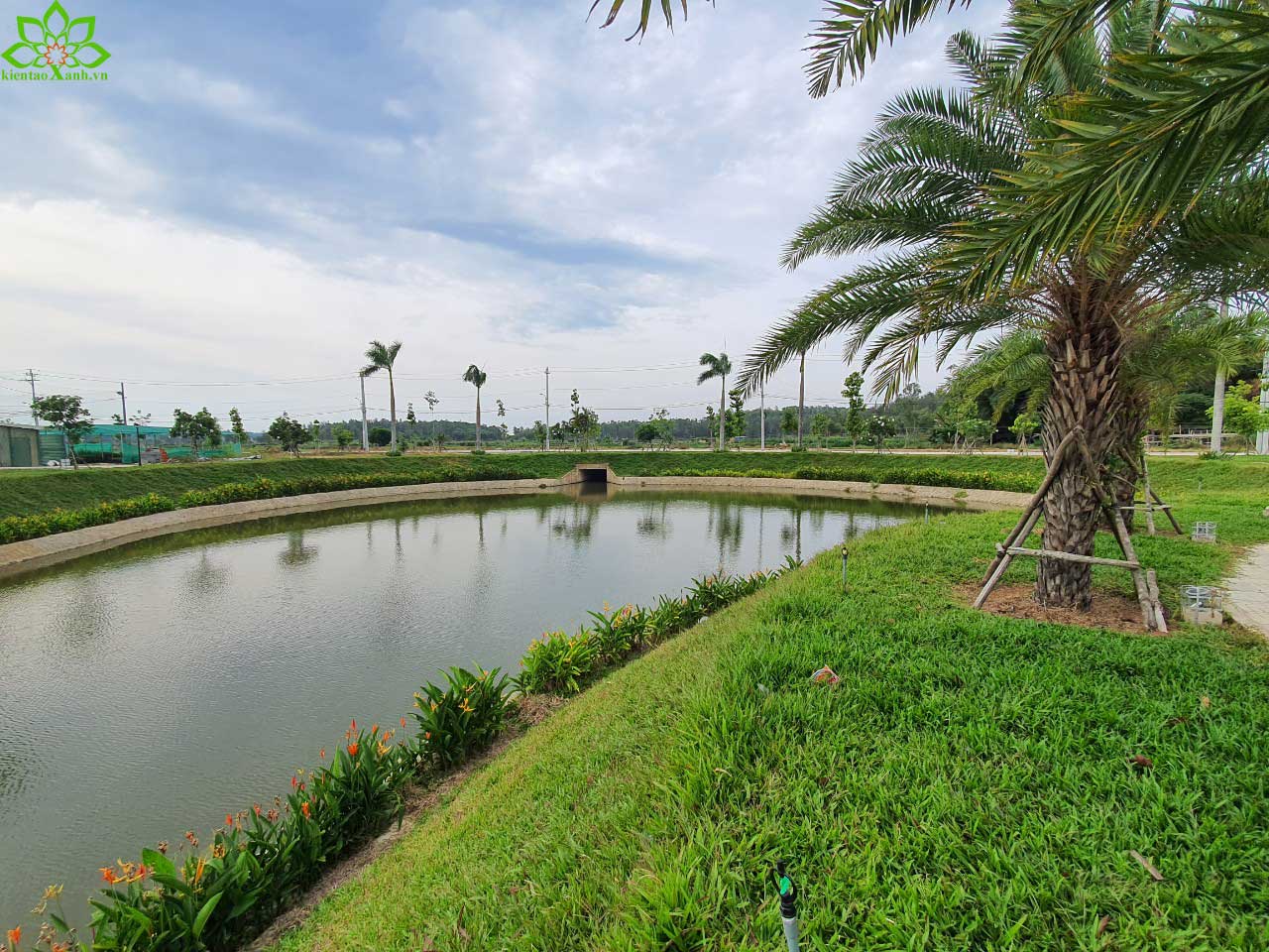 THI CÔNG TRỒNG CÔNG TRÌNH 5000M2 CỎ GỪNG TẠI QUÃNG NGÃI
