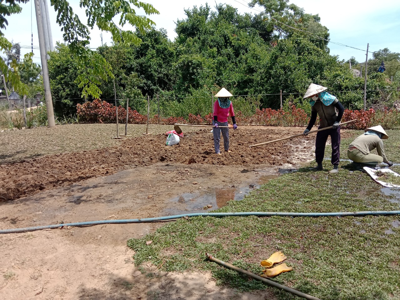 CÁCH SỬ LÍ ĐẤT NỀN TRƯỚC KHI TRỒNG THẢM CỎ