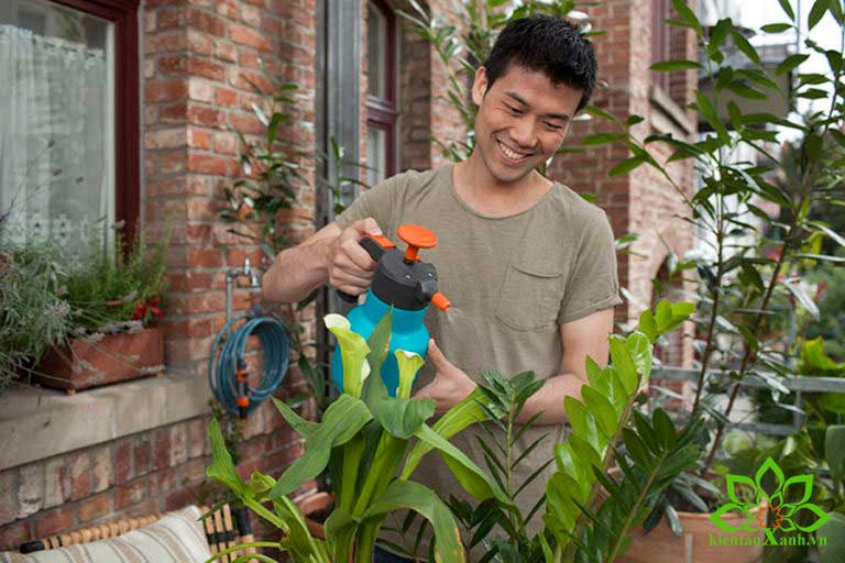 Dụng Cụ Thiết Bị Sử Dụng Trong Công Tác Bảo Dưỡng Cảnh Quan