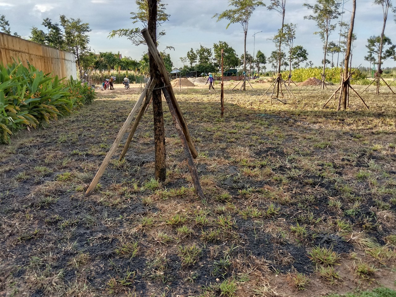 CÁCH SỬ LÍ ĐẤT NỀN TRƯỚC KHI TRỒNG THẢM CỎ