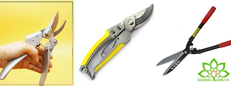 Dụng Cụ Thiết Bị Sử Dụng Trong Công Tác Bảo Dưỡng Cảnh Quan