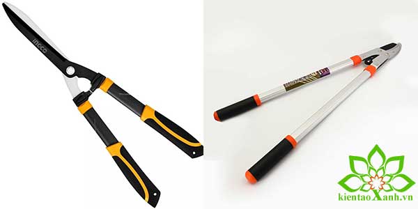 Dụng Cụ Thiết Bị Sử Dụng Trong Công Tác Bảo Dưỡng Cảnh Quan