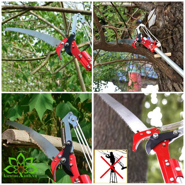 Dụng Cụ Thiết Bị Sử Dụng Trong Công Tác Bảo Dưỡng Cảnh Quan