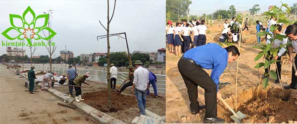 Dụng Cụ Thiết Bị Sử Dụng Trong Công Tác Bảo Dưỡng Cảnh Quan