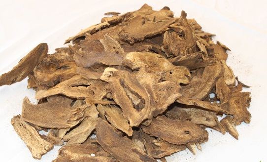 Cây Mộc Hương Là Cây Gì ? Tại Sao Cây Lại Mắc Và Có Ý Nghĩa , Công Dụng Gì ?