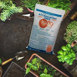 Đất Dinh Dưỡng 1989