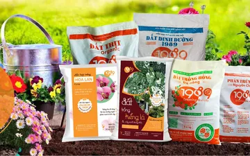 Tổng Hợp Các Loại Đất Và Phân Bón Phổ Biến Hiện Nay