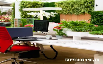 Giới Thiệu Về Cây Xanh Nội Thất (Văn Phòng) Và Giá Trị Mang Lại Khi Sử Dụng