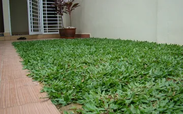 CÁCH XỬ LÍ ĐẤT NỀN TRƯỚC KHI TRỒNG THẢM CỎ