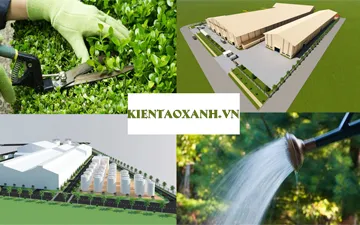 Công Tác Bảo Dưỡng Cây Xanh Cho Khu Công Nghiệp, Nhà Máy, Xưởng Sản Xuất