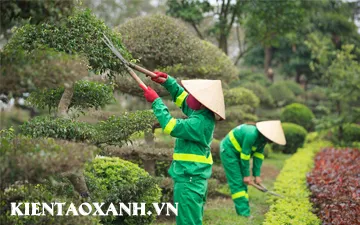 Công Tác Bảo Dưỡng Cây Xanh Cho Khu Đô Thị
