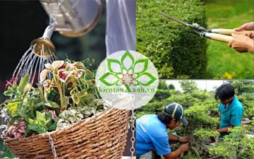 Dich Vụ Bảo Dưỡng Chăm Sóc Cảnh Quan Tại Quảng Ngãi