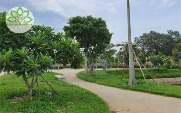 Thi Công Công Viên Trung Tâm - Thuộc Dự Án Khu Dân Cư Tăng Long